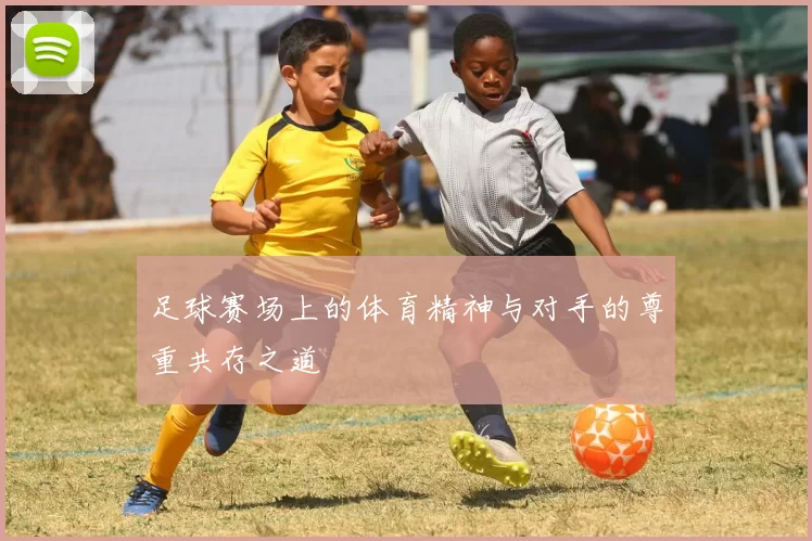 足球赛场上的体育精神与对手的尊重共存之道