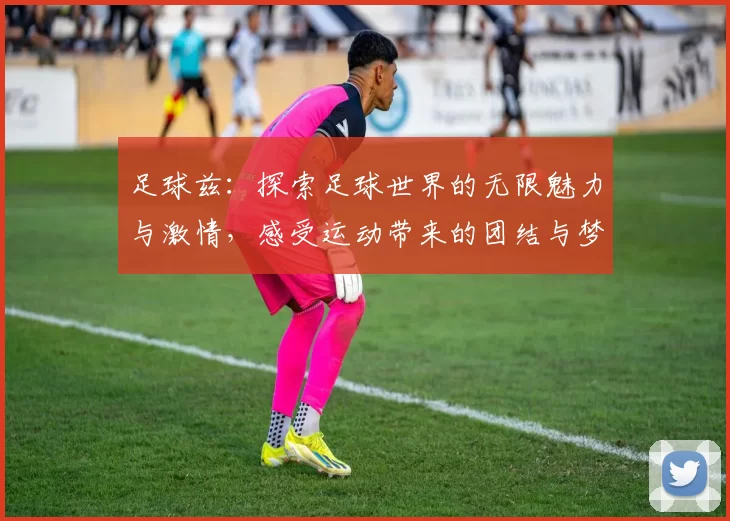足球兹：探索足球世界的无限魅力与激情，感受运动带来的团结与梦想