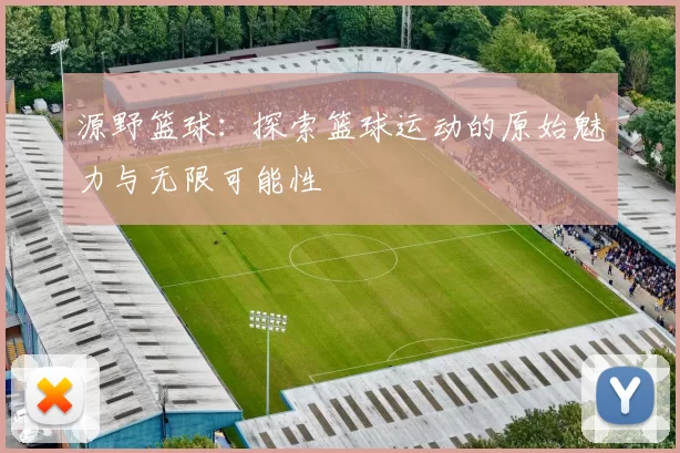 源野篮球：探索篮球运动的原始魅力与无限可能性